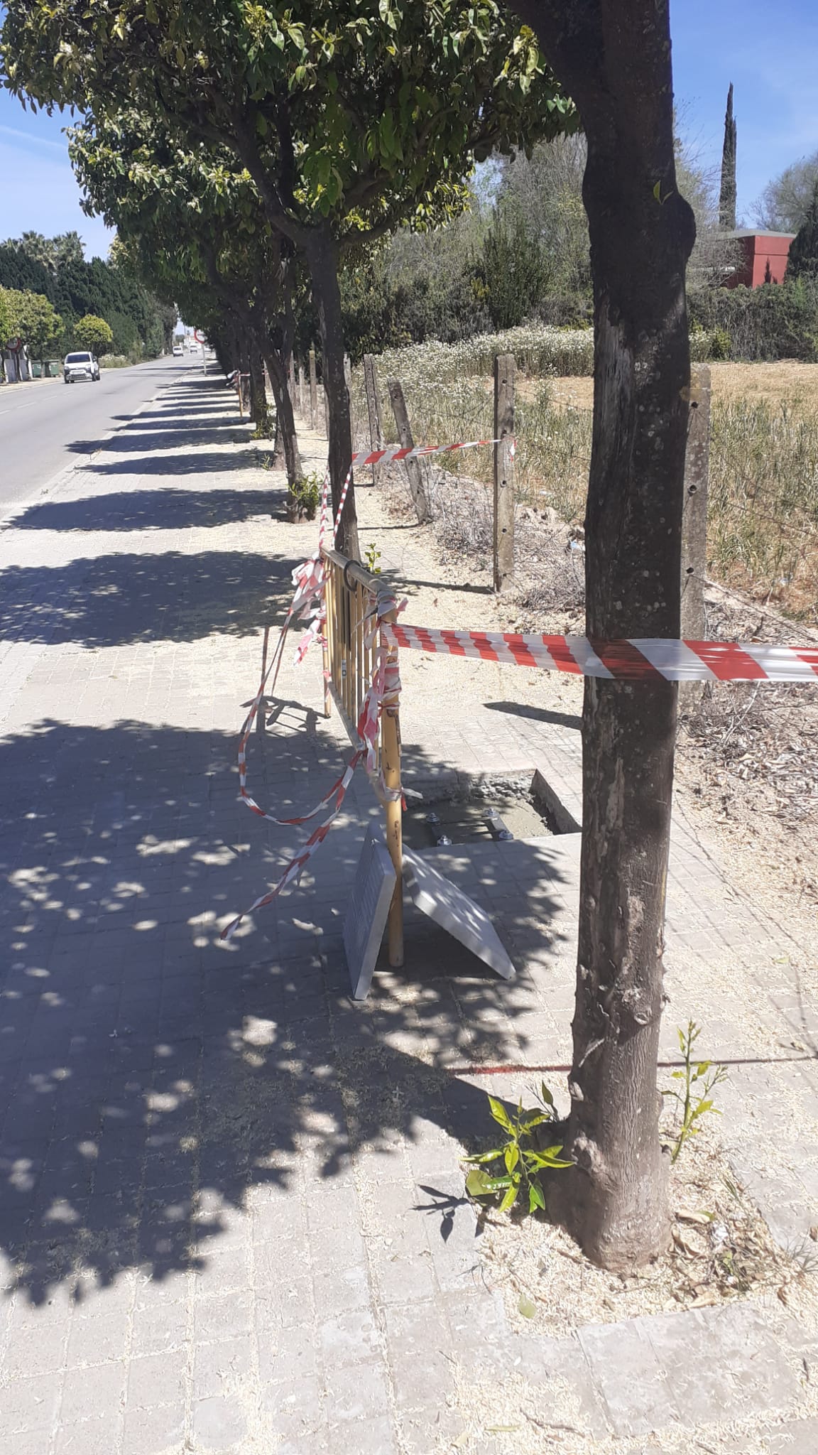 WhatsApp Image 2023-04-03 at 13.59.56