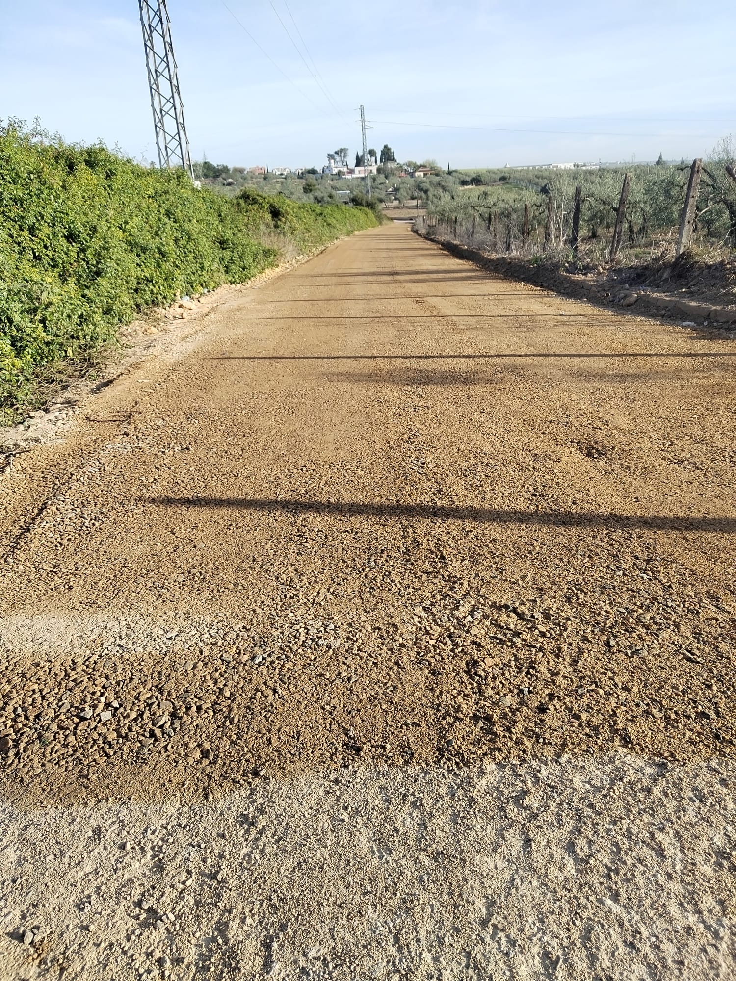 WhatsApp Image 2023-04-18 at 14.08.34