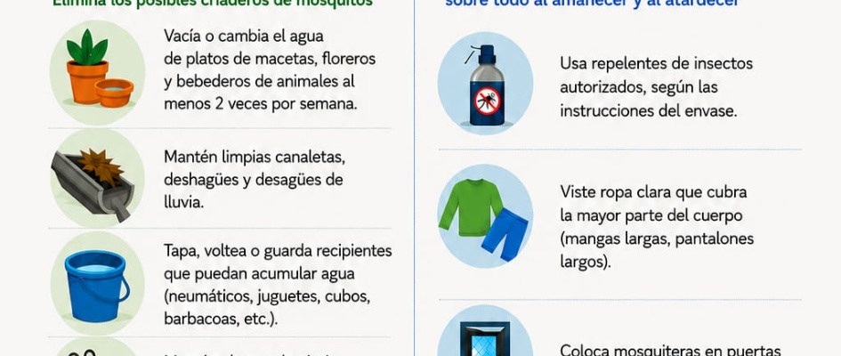 WhatsApp Image 2026-08-25 at 09.43.43