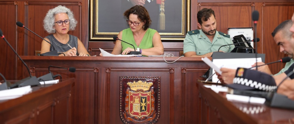 juntalocalseguridad