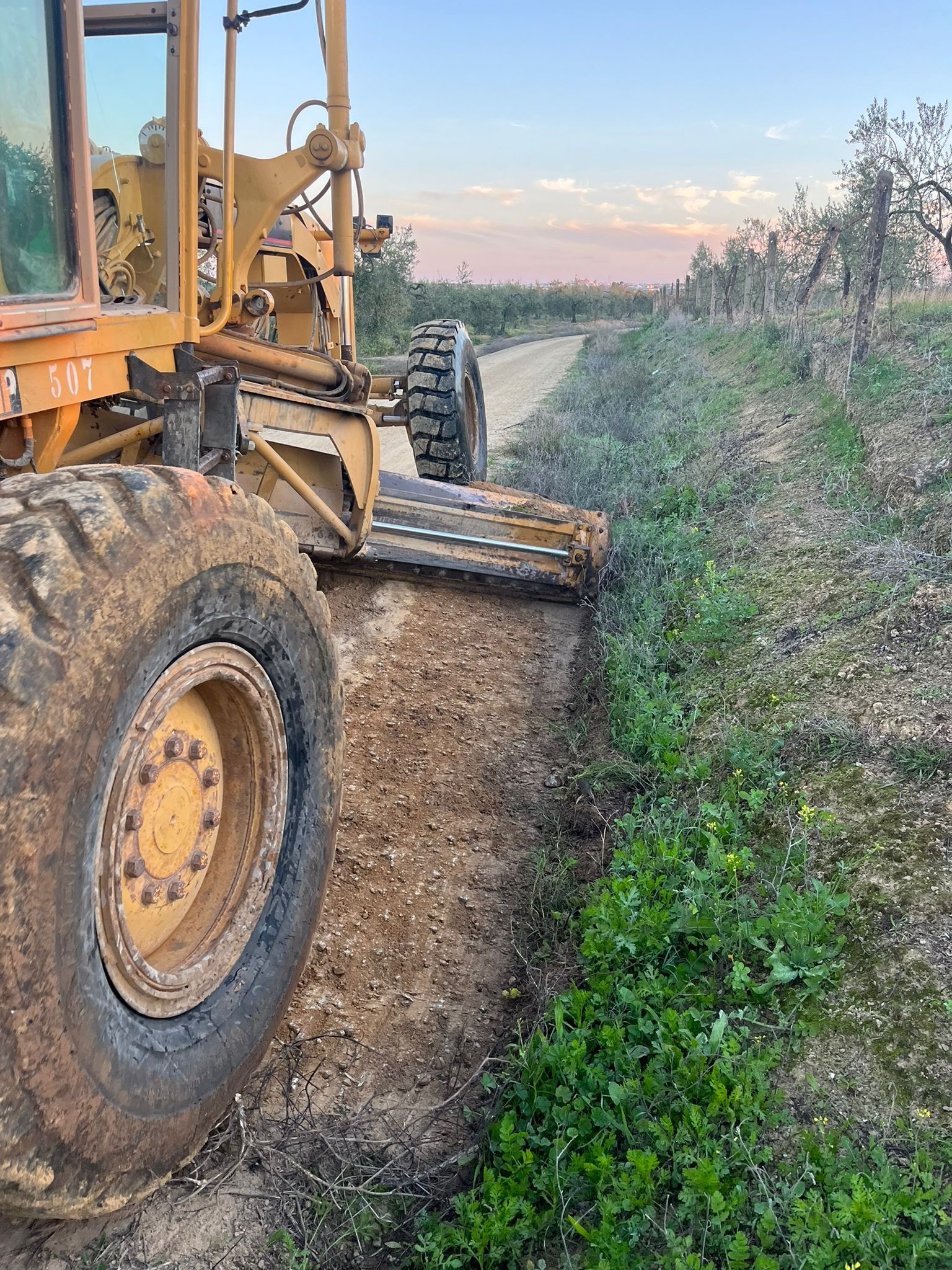 Imagen de WhatsApp 2023-11-29 a las 08.58.15_5d91f2c6