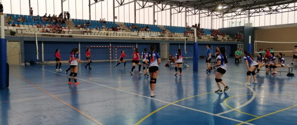 voleibol