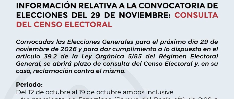elecciones29n