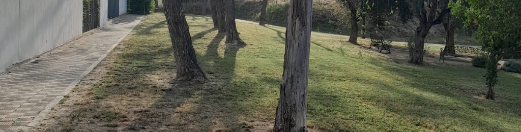 TRABAJOS REALIZADOS POR EL DEPARTAMENTO DE MEDIO AMBIENTE DURANTE LA SEMANA 4-8 DE MAYO