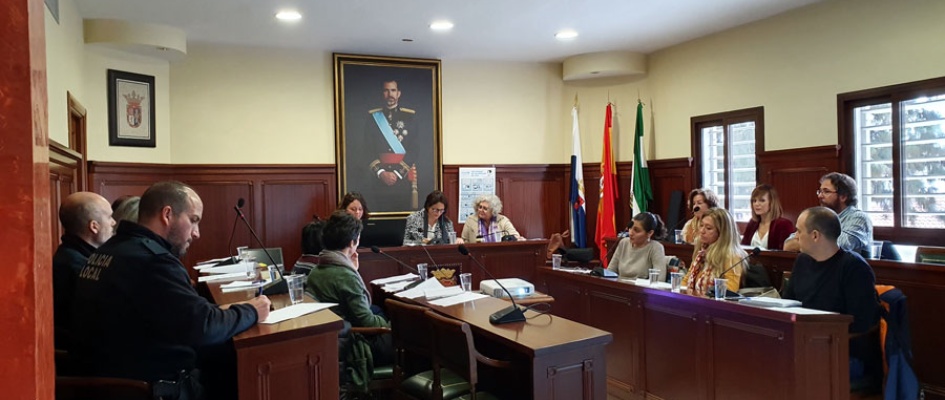 comisionviolenciagenero